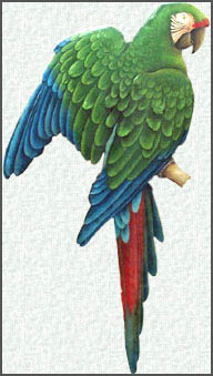 Hand painted metal parrot wall hangings. Military Macaw