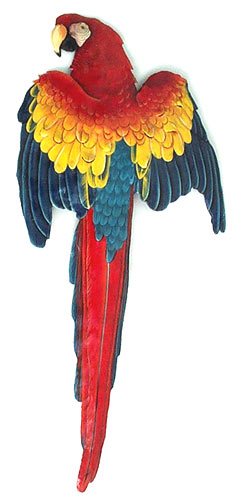 Tropical Parrot - Hand Painted Metal Scarlet Macaw Tropical Wall Hanging - 10" x 26"