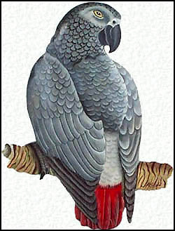 Parrot Metal Art Wall Hanging - Hand Painted African Grey - Tropical Decorating - 8 1/2" x 11"