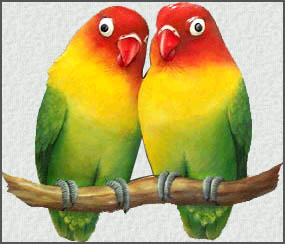 Hand painted metal parrot wall hangings. Lovebirds