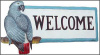 Painted Metal African Grey Welcome Sign - Tropical Home Decor - 8" x 16"