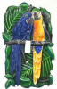 Blue & Gold Macaw Parrot Hand Painted Metal Switchplate Cover - 1 Hole - 5" x 7"