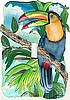 Toucan Painted Metal Light Switch Plate Cover - Tropical Decor