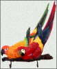 Scarlet Macaw Parrot Wall Hook - Hand Painted Metal Tropical Art - 12" x 15"